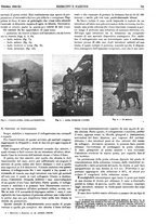 giornale/CFI0352750/1933/unico/00000749