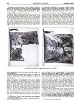 giornale/CFI0352750/1933/unico/00000902
