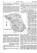 giornale/CFI0352750/1934/unico/00000204