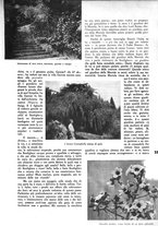 giornale/CFI0352962/1934-1936/unico/00000197