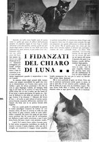 giornale/CFI0352962/1934-1936/unico/00000258