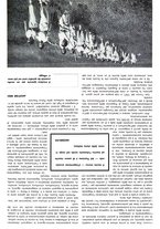 giornale/CFI0352962/1936-1938/unico/00000383