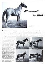 giornale/CFI0352962/1939-1940/unico/00000047