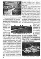 giornale/CFI0352962/1939-1940/unico/00000148