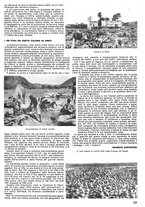 giornale/CFI0352962/1939-1940/unico/00000525