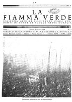 giornale/CFI0353394/1919/unico/00000011