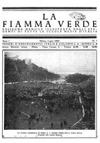 giornale/CFI0353394/1919/unico/00000329