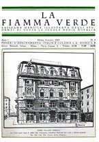 giornale/CFI0353394/1919/unico/00000449