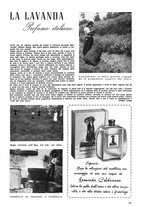 giornale/CFI0353472/1940-1944/unico/00000175
