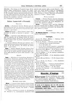 giornale/CFI0353817/1904/unico/00000483