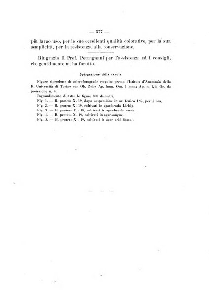 Giornale di batteriologia e immunologia bollettino clinico ed amministrativo dell'Ospedale Maria Vittoria