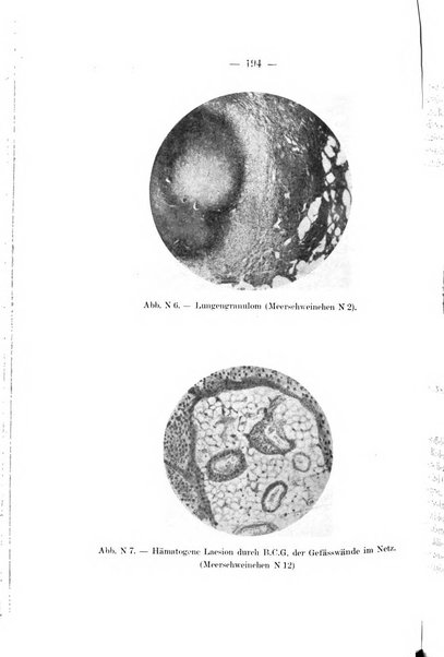 Giornale di batteriologia e immunologia bollettino clinico ed amministrativo dell'Ospedale Maria Vittoria