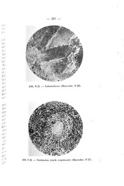 Giornale di batteriologia e immunologia bollettino clinico ed amministrativo dell'Ospedale Maria Vittoria