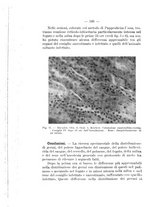 giornale/CFI0353878/1933/unico/00000384