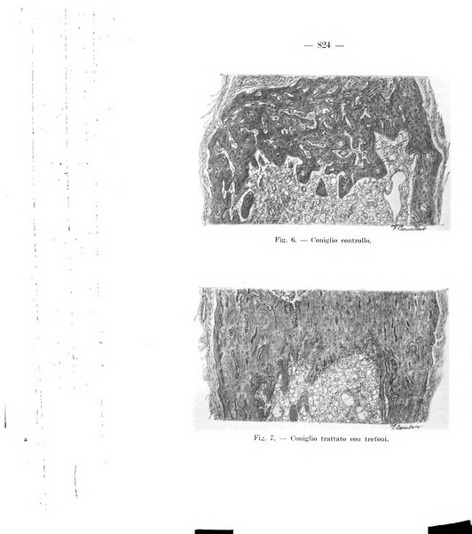 Giornale di batteriologia e immunologia bollettino clinico ed amministrativo dell'Ospedale Maria Vittoria