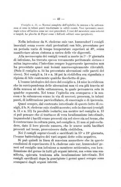 Giornale di batteriologia e immunologia bollettino clinico ed amministrativo dell'Ospedale Maria Vittoria