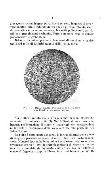 Giornale di batteriologia e immunologia bollettino clinico ed amministrativo dell'Ospedale Maria Vittoria