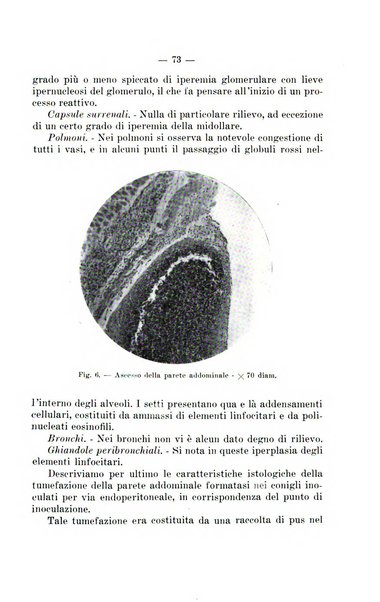 Giornale di batteriologia e immunologia bollettino clinico ed amministrativo dell'Ospedale Maria Vittoria