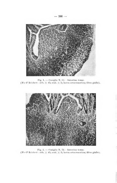 Giornale di batteriologia e immunologia bollettino clinico ed amministrativo dell'Ospedale Maria Vittoria