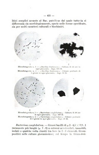 Giornale di batteriologia e immunologia bollettino clinico ed amministrativo dell'Ospedale Maria Vittoria