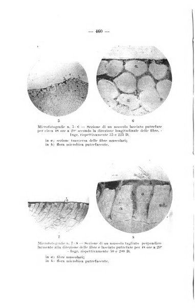 Giornale di batteriologia e immunologia bollettino clinico ed amministrativo dell'Ospedale Maria Vittoria