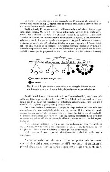 Giornale di batteriologia e immunologia bollettino clinico ed amministrativo dell'Ospedale Maria Vittoria