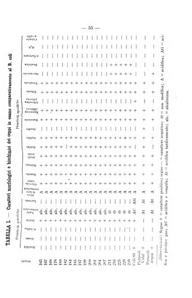 Giornale di batteriologia e immunologia bollettino clinico ed amministrativo dell'Ospedale Maria Vittoria