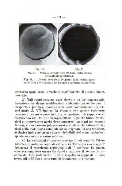 Giornale di batteriologia e immunologia bollettino clinico ed amministrativo dell'Ospedale Maria Vittoria