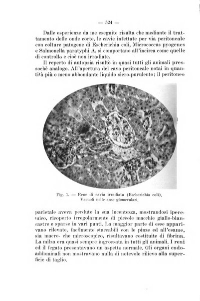 Giornale di batteriologia e immunologia bollettino clinico ed amministrativo dell'Ospedale Maria Vittoria