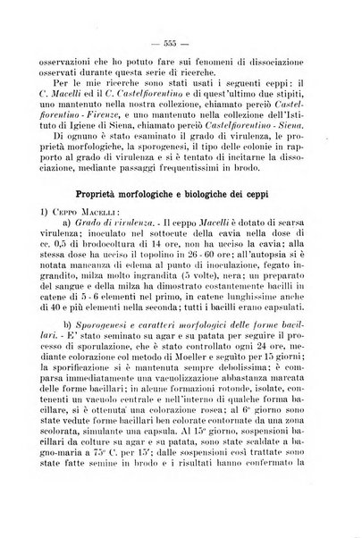 Giornale di batteriologia e immunologia bollettino clinico ed amministrativo dell'Ospedale Maria Vittoria