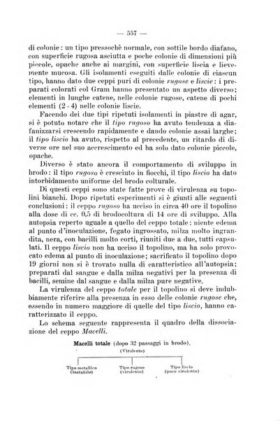 Giornale di batteriologia e immunologia bollettino clinico ed amministrativo dell'Ospedale Maria Vittoria