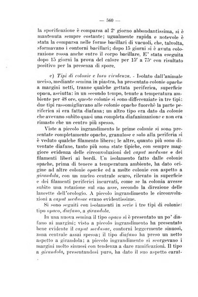 Giornale di batteriologia e immunologia bollettino clinico ed amministrativo dell'Ospedale Maria Vittoria