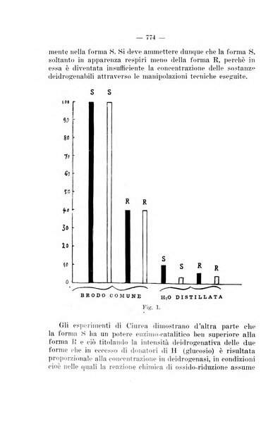 Giornale di batteriologia e immunologia bollettino clinico ed amministrativo dell'Ospedale Maria Vittoria