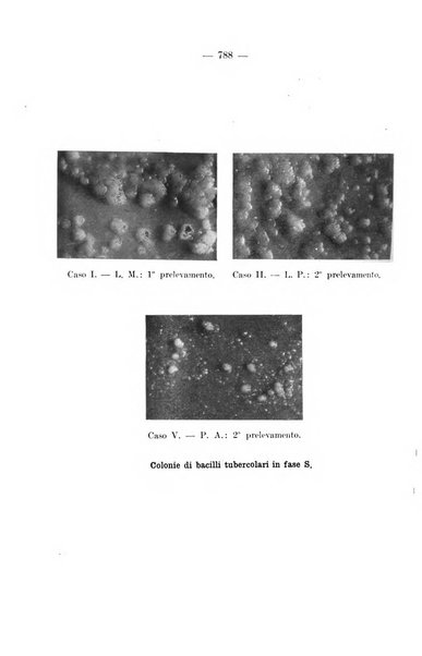 Giornale di batteriologia e immunologia bollettino clinico ed amministrativo dell'Ospedale Maria Vittoria