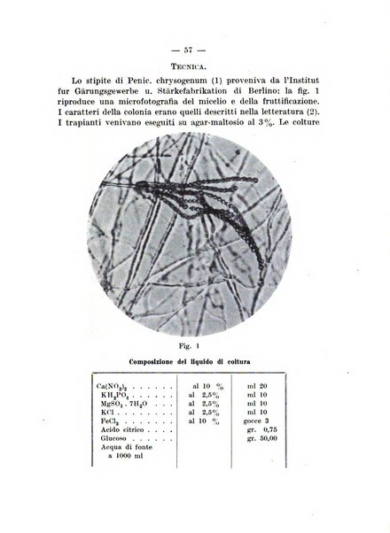 Giornale di batteriologia e immunologia bollettino clinico ed amministrativo dell'Ospedale Maria Vittoria