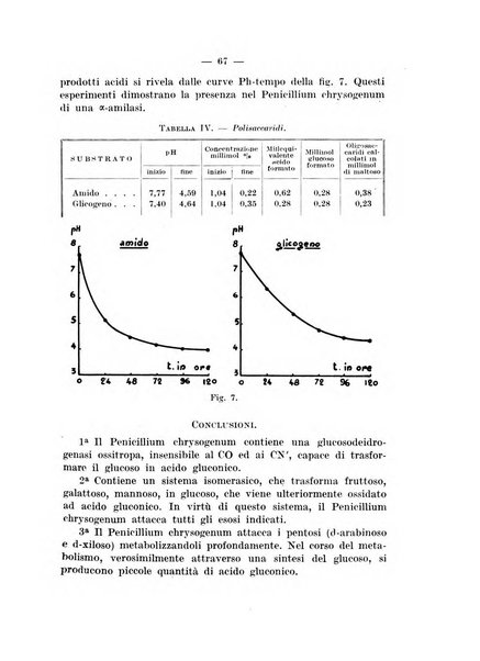 Giornale di batteriologia e immunologia bollettino clinico ed amministrativo dell'Ospedale Maria Vittoria