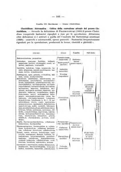 Giornale di batteriologia e immunologia bollettino clinico ed amministrativo dell'Ospedale Maria Vittoria