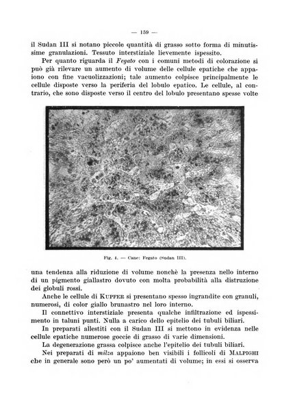 Giornale di batteriologia e immunologia bollettino clinico ed amministrativo dell'Ospedale Maria Vittoria