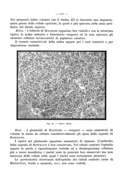 Giornale di batteriologia e immunologia bollettino clinico ed amministrativo dell'Ospedale Maria Vittoria