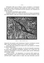 giornale/CFI0353878/1941/v.3/00000211