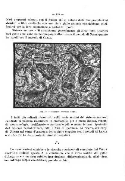 Giornale di batteriologia e immunologia bollettino clinico ed amministrativo dell'Ospedale Maria Vittoria