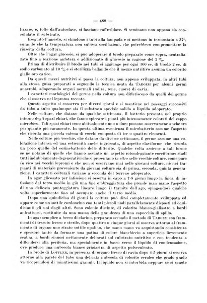 Giornale di batteriologia e immunologia bollettino clinico ed amministrativo dell'Ospedale Maria Vittoria