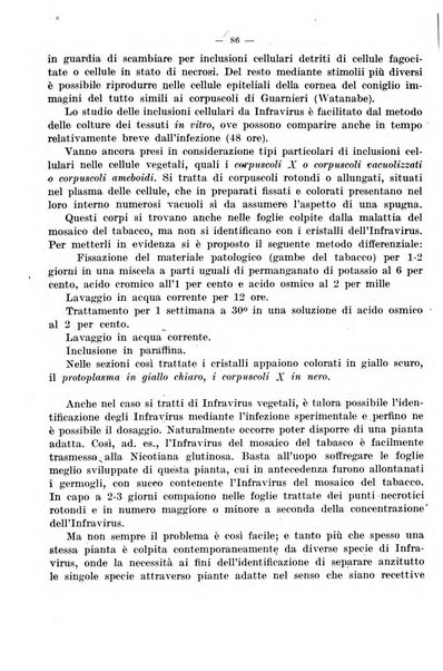 Giornale di batteriologia e immunologia bollettino clinico ed amministrativo dell'Ospedale Maria Vittoria