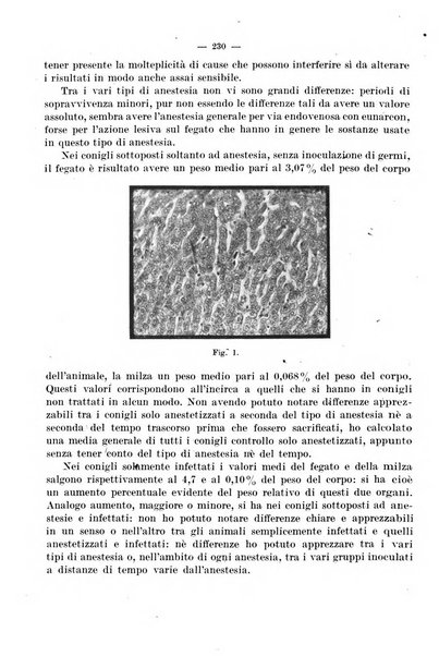 Giornale di batteriologia e immunologia bollettino clinico ed amministrativo dell'Ospedale Maria Vittoria