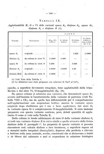 Giornale di batteriologia e immunologia bollettino clinico ed amministrativo dell'Ospedale Maria Vittoria