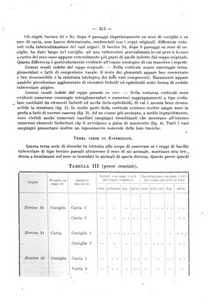 Giornale di batteriologia e immunologia bollettino clinico ed amministrativo dell'Ospedale Maria Vittoria