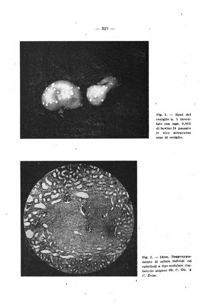 Giornale di batteriologia e immunologia bollettino clinico ed amministrativo dell'Ospedale Maria Vittoria