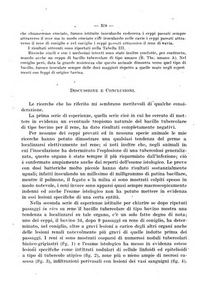 Giornale di batteriologia e immunologia bollettino clinico ed amministrativo dell'Ospedale Maria Vittoria