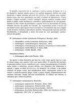 giornale/CFI0353878/1942/v.1/00000565