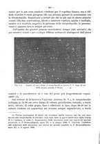 giornale/CFI0353878/1942/v.2/00000366
